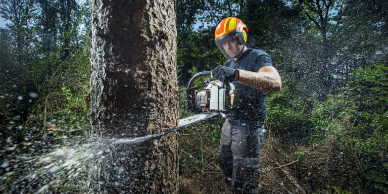 Kies Voor Veiligheid En Vakmanschap. Laat Je Boom Kappen.