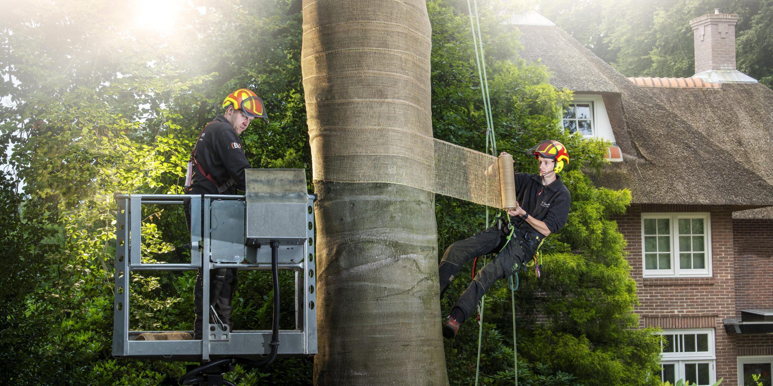 zonnebrand bomen inpakken jute