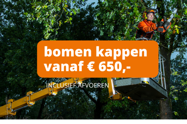 Bomen kappen kosten