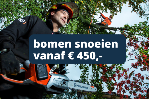 Bomen snoeien prijs BB Bomen