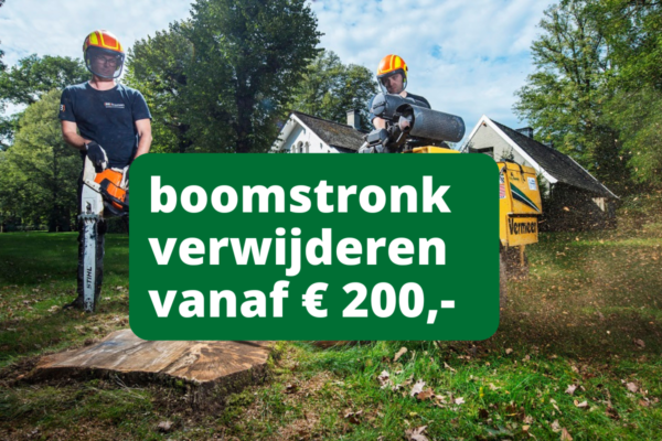 boomstronk verwijderen kosten BB Bomen