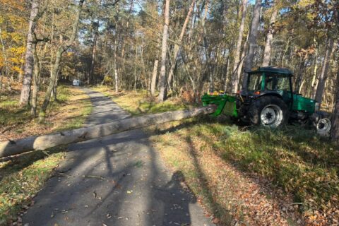 Krachtig uitsleepwerk in het bos