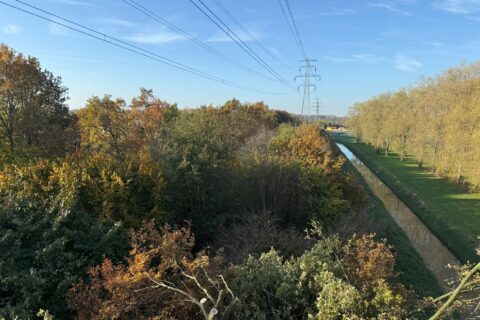 Veilig snoeien onder hoogspanning in Nijmegen