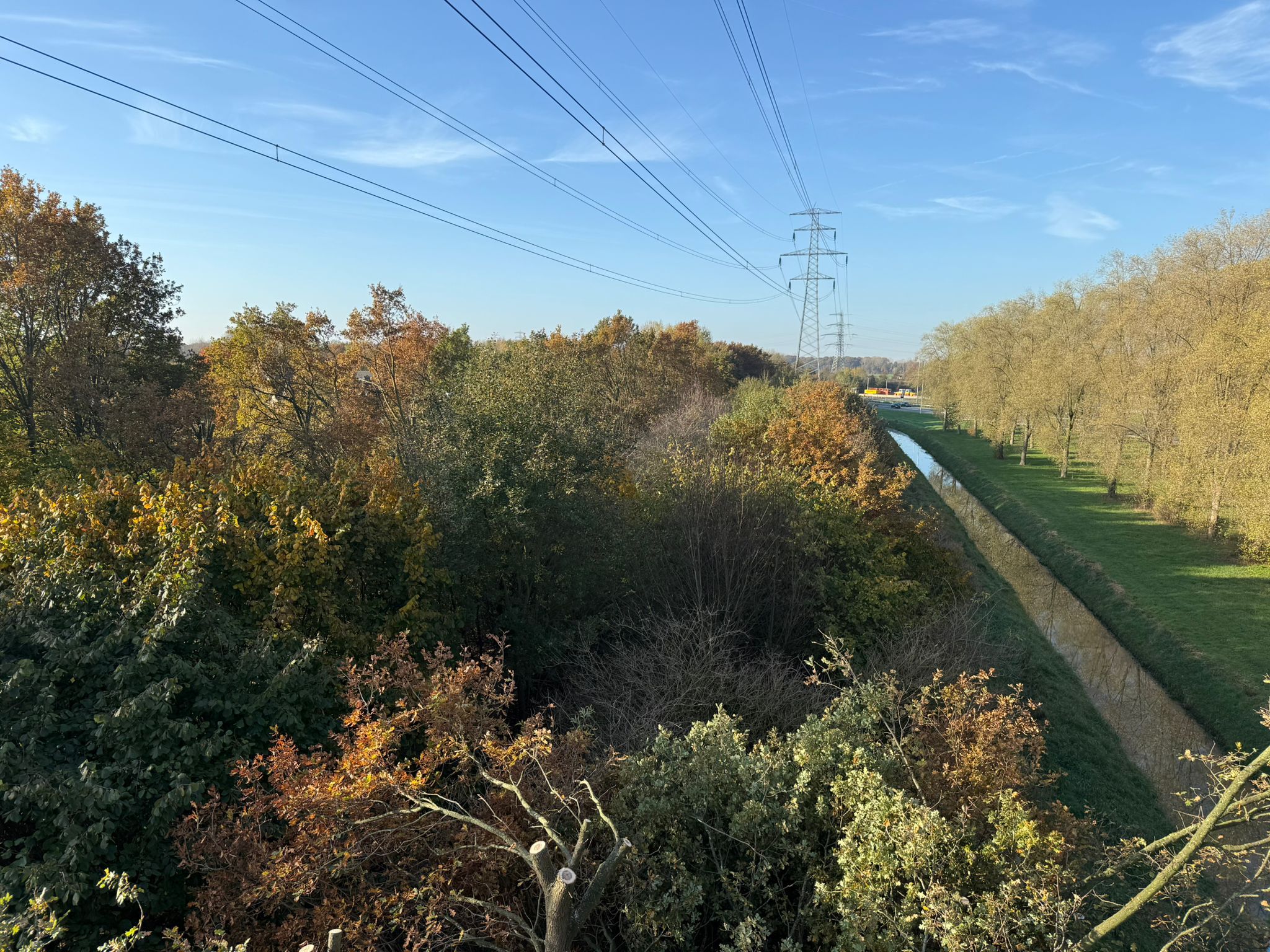 bomen snoeien onder hoogspanningleiding