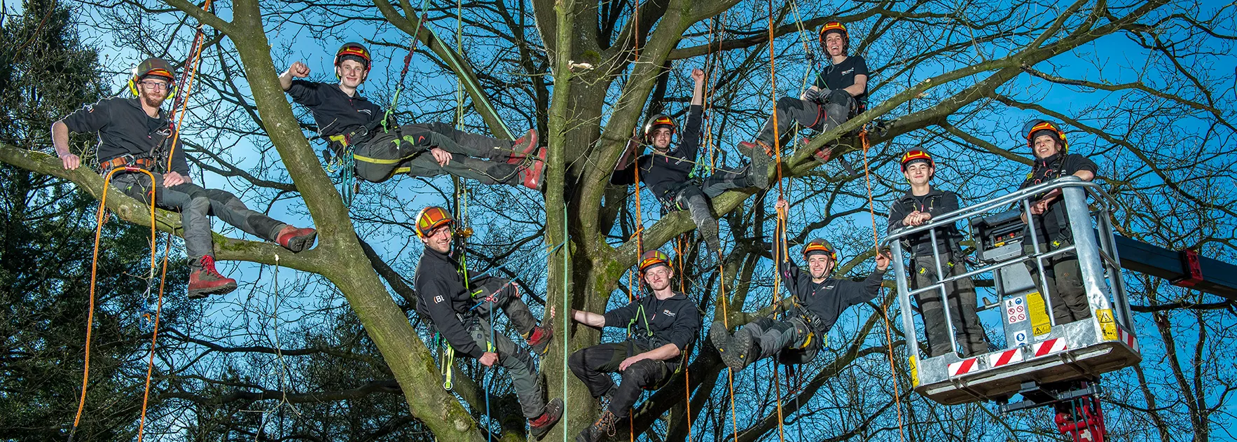 De Boomexperts van BB bomen, regio Apeldoorn, Arnhem, Nijmegen en Wageningen
