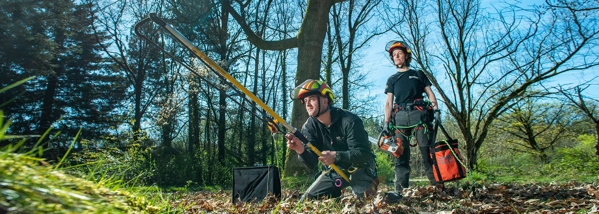 boomziekten - BB Bomen openhaardhout kopen in de regio Apeldoorn, Nijmegen, Arnhem en Wageningen