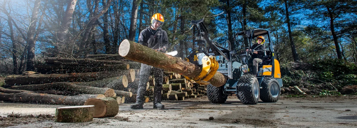 BB Bomen Specialisten in boomverzorging in de regio Apeldoorn, Nijmegen, Arnhem en Wageningen