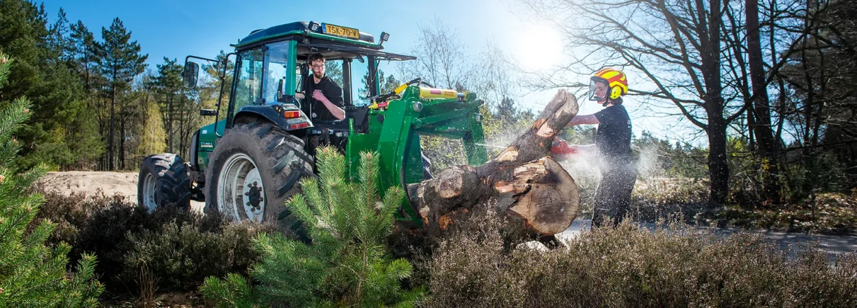 BB Bomen boomspecialist in de regio Apeldoorn, Nijmegen, Arnhem en Wageningen