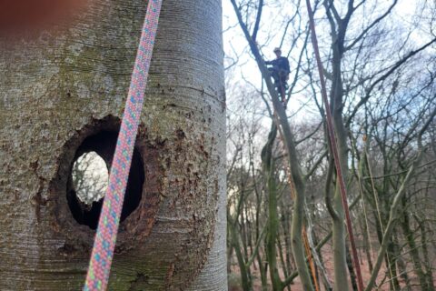 Openluchtmuseum Arnhem: werken tussen historie